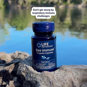 “Bee” your healthiest self year-round. 🐝 This bee propolis formula supports a healthy immune response in the respiratory system. Will you be adding this to your daily supplement stack? Comment below! ➡️ Order now: https://ow.ly/bVBz50XT4co These statements have not been evaluated by the Food and Drug Administration. This product is not intended to diagnose, treat, cure, or prevent any disease. | Life Extension