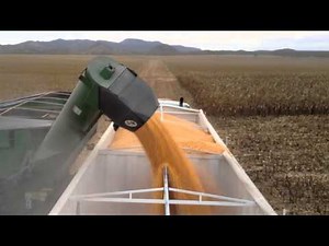 Farming in northern Mexico