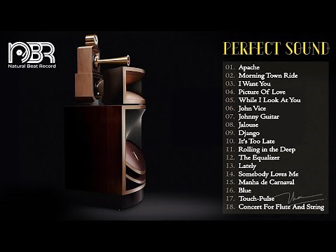 Hi-Res Audiophile Test - The Perfect Sound - Natural Beat Records