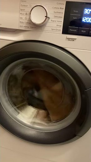 Electrolux PerfectCare 600.