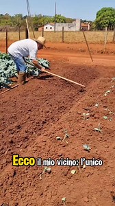 "Il vicino che scava anche la noia" | Leonardo Itália 2