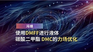 冯维：使用DMFF进行液体碳酸二甲酯 （DMC）的力场优化