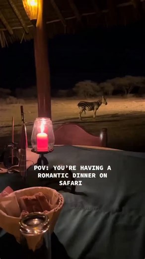 The Bespoke African Safari Co. on Instagram: "African Odyssey (Volcanoes, Masai Mara, Victoria Falls, Okavango Delta) Itinerary. Taking you to some of Africa’s greatest spots for some of its most amazing wildlife and physical experiences, this incredible African Odyssey covers the continent’s length and width. This African Odyssey itinerary combines two distinct regions of Africa—East Africa (Rwanda and Kenya) and Southern Africa (Zimbabwe/Zambia and Botswana)—connected by flights. The best time