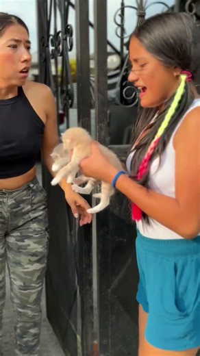 And now what do we do with the kittens?