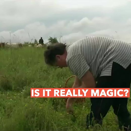 Appalachian Granny Witches have been making an impact throughout Appalachia since the 1700s. No, they don't practice magic, but these women used natural remedies, herbs and traditional practices for healing. | 100 Days in Appalachia