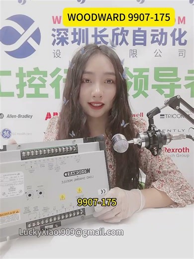 #woodward 9907 175 Load distribution module