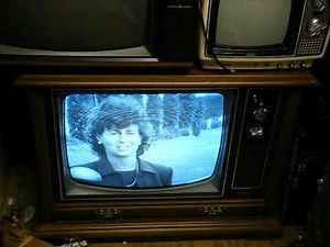 1978 Sylvania 22" B&W solid state console TV