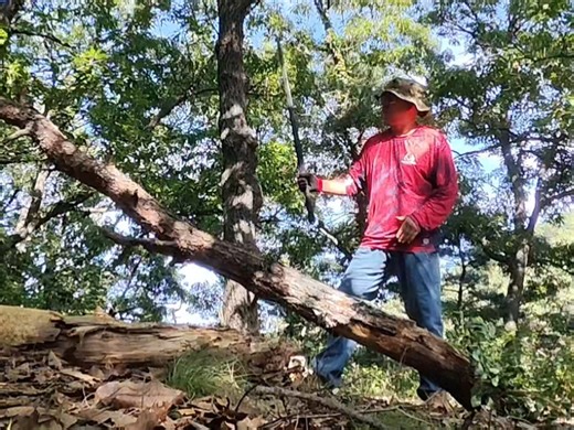 伐木 砸碎剁断 末世生存长剑 狠劈猛砍 Dragon King 出品