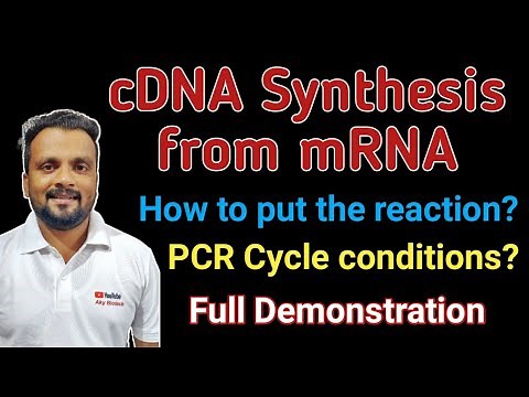 cDNA synthesis from mRNA | How to setup the reaction | Calculation & PCR Conditions | Full Details !