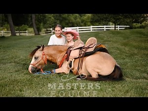 Watch Video! Kid-Safe Mini Buckskin Pony – Rides, Drives, & Does Tricks!