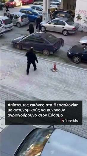 Απίστευτες εικόνες στη Θεσσαλονίκη με αστυνομικούς να κυνηγούν αγριογούρουνο στον Εύοσμο #iefimerida