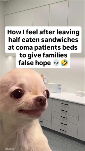 Official Evil Dog | 😈 Memes too evil to handle Follow for more 🤣 ⭐ Official Evil Dog Meme Page Merch in my bio evildogofficial.com (Dark thoughts, don’t take... | Instagram