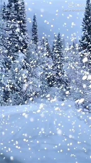 Park it. Lock it. Ride out. ❄️ Trail-side truck & trailer parking now open for snowmobile season — secure lot, no stress. Reserve your spot today! #snow #snowmobile #upperpeninsula #ironwood #michigan #gogebicrangetrailauthority #ironwoodmichigan #puremichigan #parking #truck #trail #trailer @ironwoodmichigan @ironwoodchamber | UP-N-Smoke | Facebook