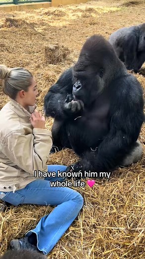 #Babo #baby #big | Logan Zachary