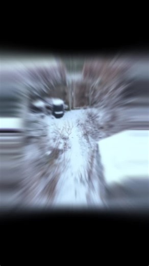 ❄️ Een tuin in rust? Integendeel. Op de plekken waar de sneeuw smelt, leeft de bodem. Onder bladeren, compost en humus schuilt activiteit. Insecten, microben én warmte. Laat je tuin gerust “slordig” ogen. Zin in meer van dit soort tips? Volg mij hier! #wintertuin #bodemleven #sponstuin #wintertips #ecologischetuin | Steve Goethals