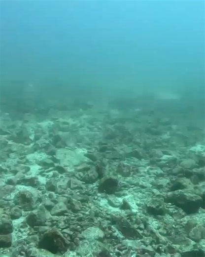 Taylor Hicks on Reels