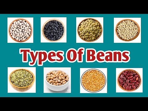 Different Varieties Of Beans With Pictures And Names in English|All Types Of Beans