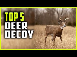 Best Deer Decoy in 2023 | Top 5 Deer Decoy Reviews