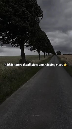 Which nature detail gives you relaxing vibes 💫 #shorts #fypシ #relax #nostalgia #vibes #aesthetic