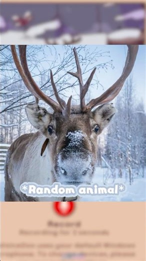 Luna voices A REINDEER (VOLUME WARNING)