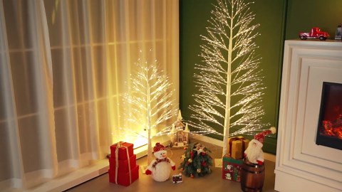 Bob's Red Mill Buckwheat Pancake & Waffle Mix, 24oz (Pack of 1) - High Fiber, Kosher