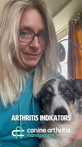 6.3K views · 111 reactions | How to tell if your dog is in pain...