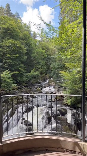 Who would like to be here right now? 😍 Beautiful scenes from The Hermitage in Dunkeld 🌿 📍 Dunkeld, Perthshire 🎥 Instagram.com/joebhall_ | VisitScotland