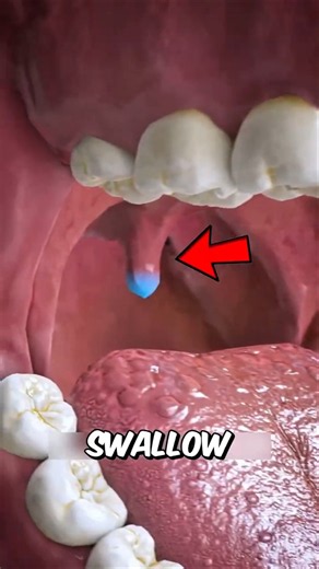 What Does Your Uvula Actually Do? 🤯