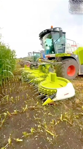 Amazing Machine Work: Satisfying Precision from Mexico to USA