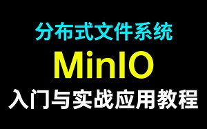 布式文件系统MinIO入门到实战全套教程，springboot整合实战