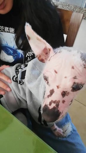 Sandra Bustamante en TikTok