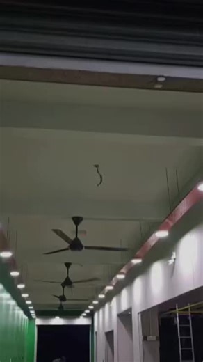 Easy Laundry Setup Tutorial