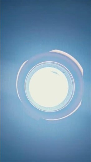 think fast chuckle nuts