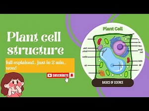 Plant cell structure | by basics of science