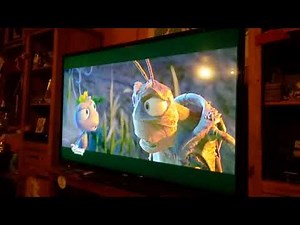 Hopper death and a bug life