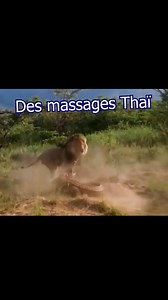 Ouais il faut pas déconner non plus | Jeremandtheduck