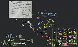 What is expected percentage of F_{2} progeny with yellow and in... | Filo