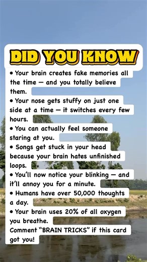 314K views · 2.7K reactions | Mind-Blowing Human Brain Facts You Never Realized! #facts | Devlop Express | Facebook