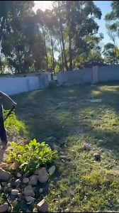 ISibusiso siyasentshenzelwa | Bakhululeh 2