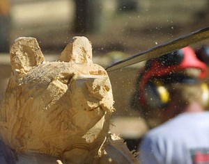Chainsaw Carving