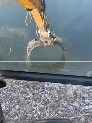 Video của ideas_fox (@ideas_fox) với bản nhạc High Octane - Chrome Riders