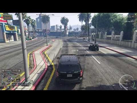 DENIZEN UPDATE 2/17/2026