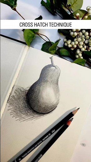 How to Sketch a Pear Using Cross Hatching | lesson : 01