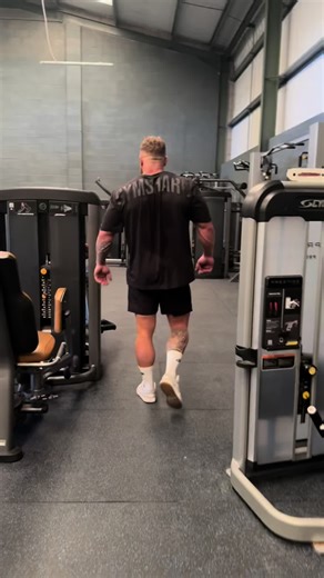 Exploring New Gym Equipment at Alpha Muscle Gym