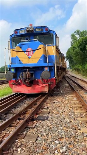 Beautiful Locomotive EMD Reverse America Power