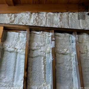 Budget-Friendly Spray Foam Insulation | Out of the Woods Forestry