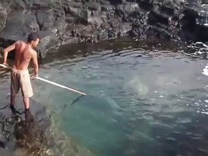 2.6K views | Giant Fish held in a meter of water | Ex_Hunting | Facebook