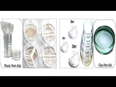 Petri Dishes or Plates
