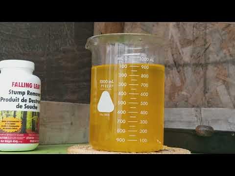 13 gram gold drop with Sodium Metabisulfite