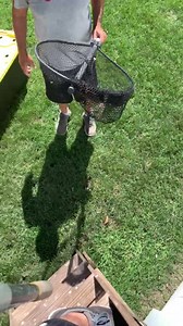 3.6K views · 120 reactions | Saved ! Strong Island animal Rescue got...